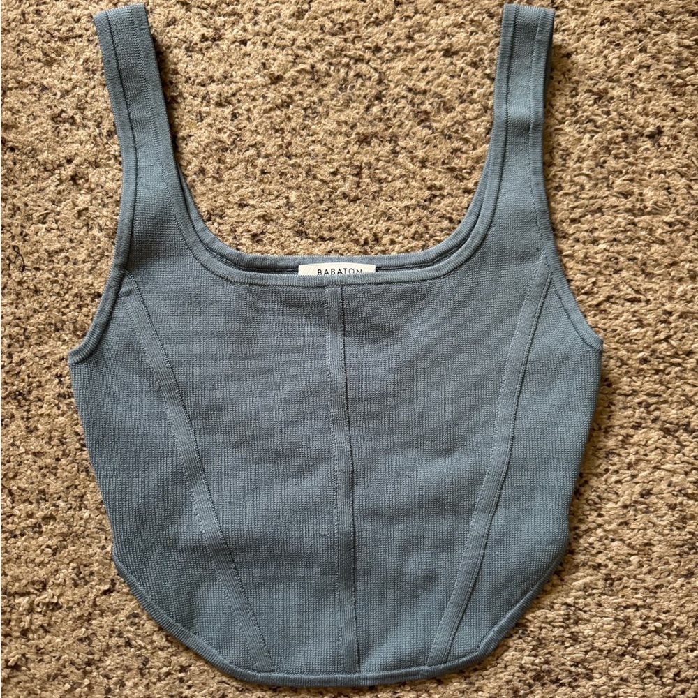 Aritzia Babaton corset top